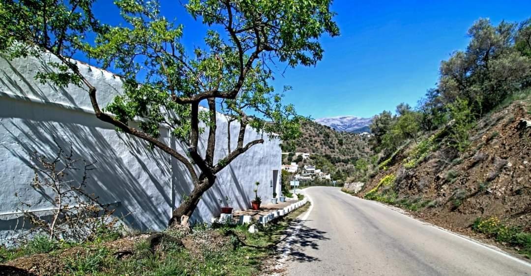 Finca El Almendro Árchez エクステリア 写真