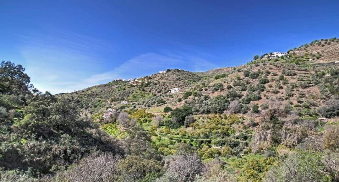 Finca El Almendro Árchez エクステリア 写真