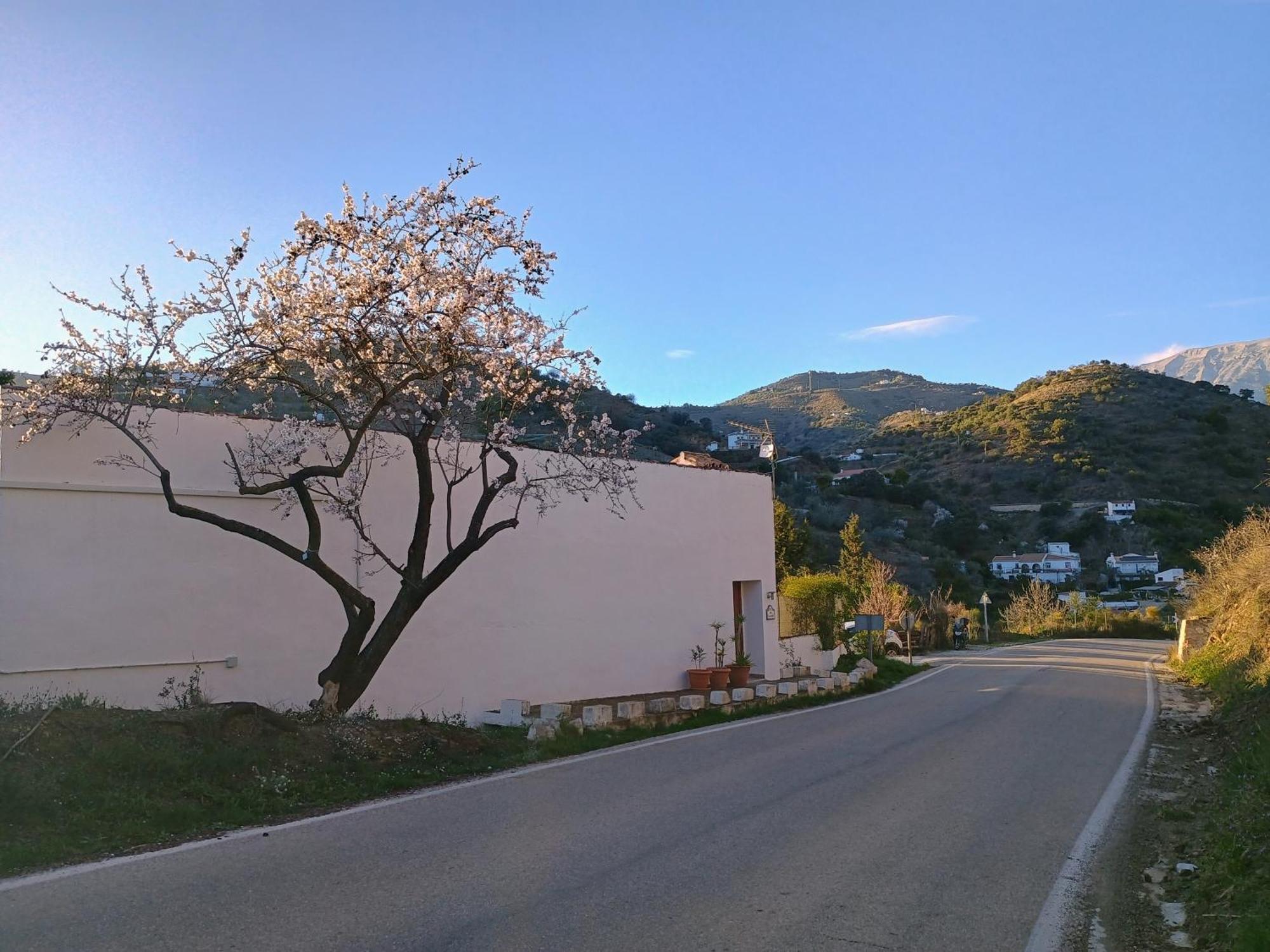 Finca El Almendro Árchez エクステリア 写真