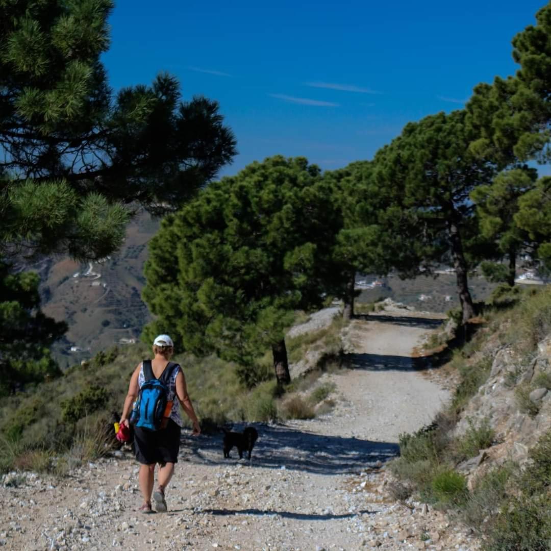 Finca El Almendro Árchez エクステリア 写真