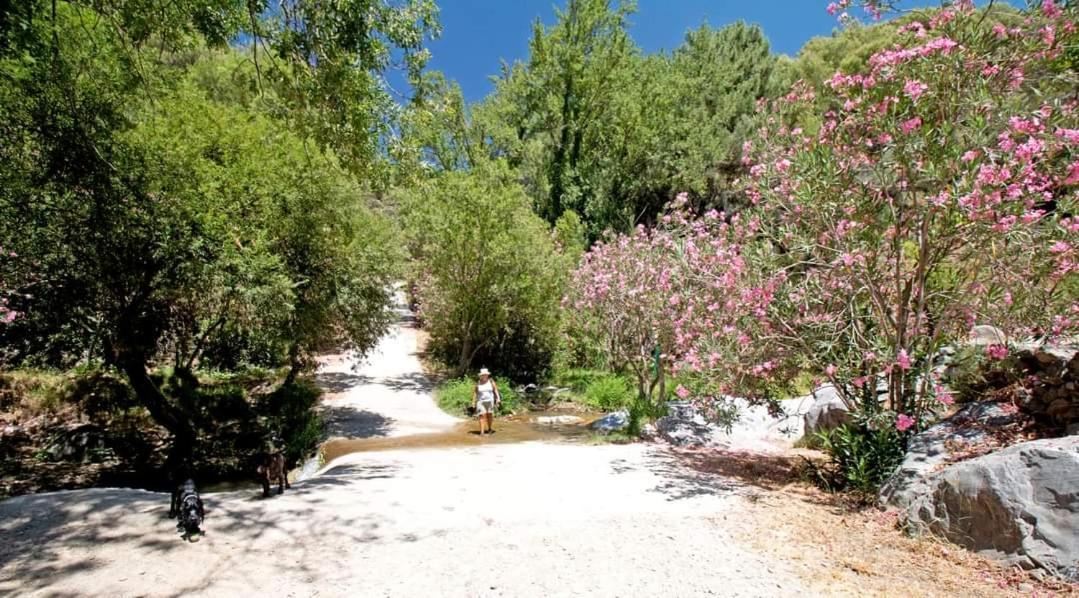 Finca El Almendro Árchez エクステリア 写真